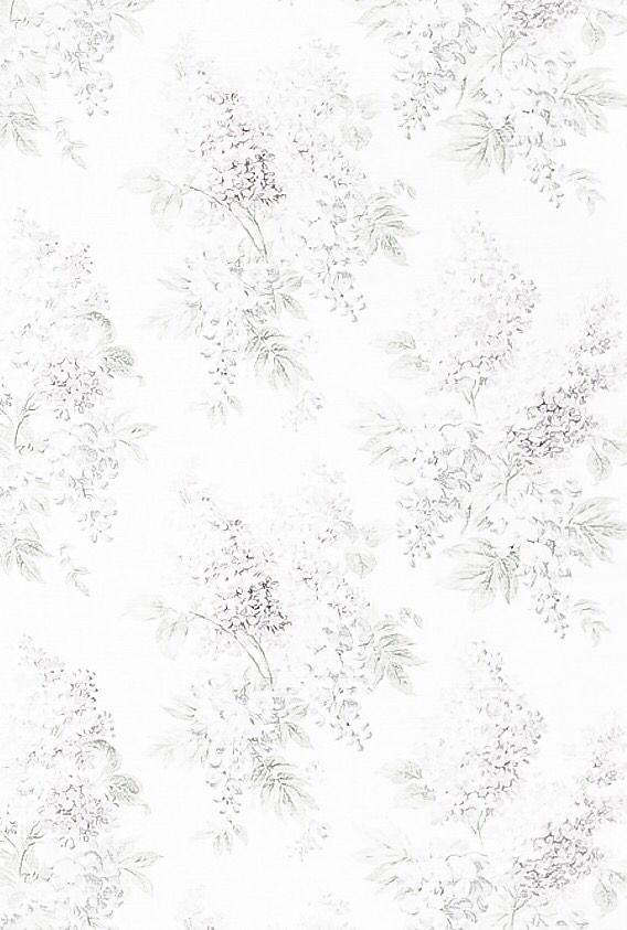 500+ White Background Image Free Download | White Background | 447 white colour background hd -(21)