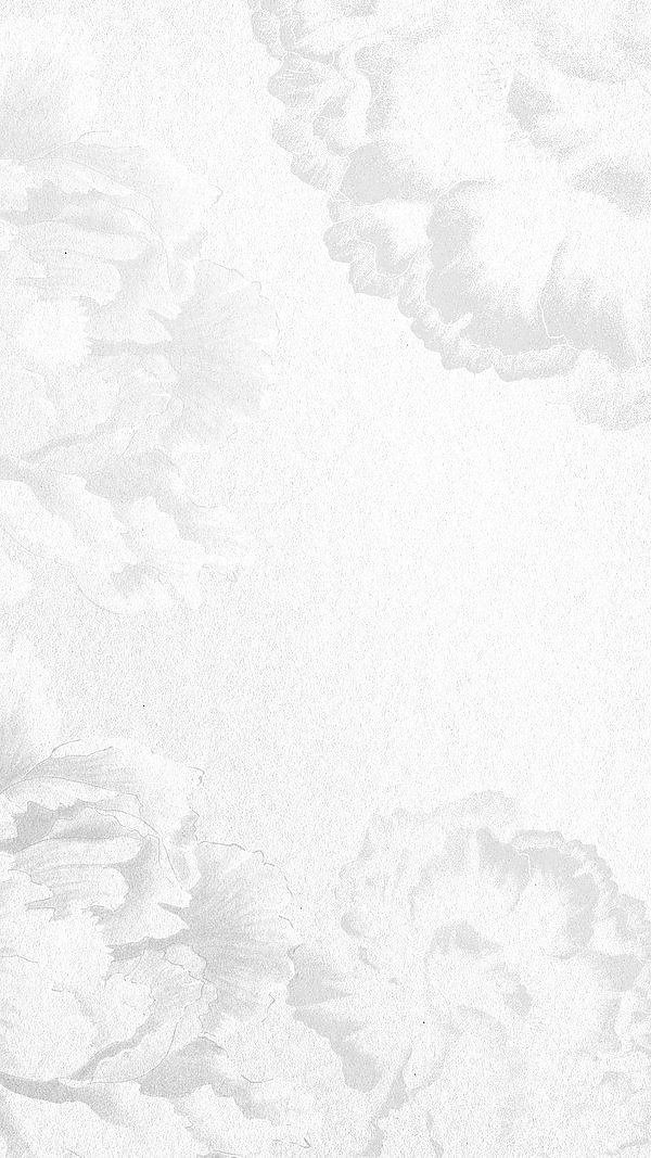 500+ White Background Image Free Download | White Background | 93 white white background -(1)