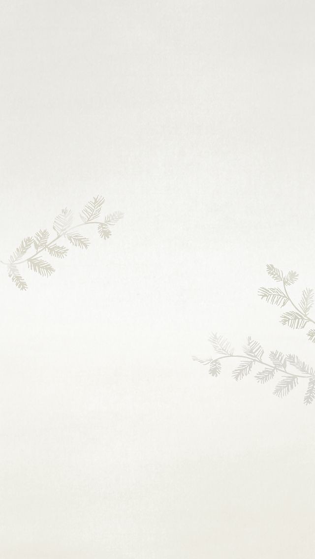 500+ White Background Image Free Download | White Background | 81 white white wallpaper -(4)