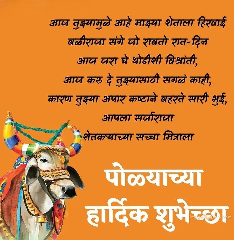 100+ Bail Pola Wishes In Marathi | बैल पोळा शुभेच्छा संदेश मराठीत | 55 बैल पोळा शुभेच्छा मराठी -