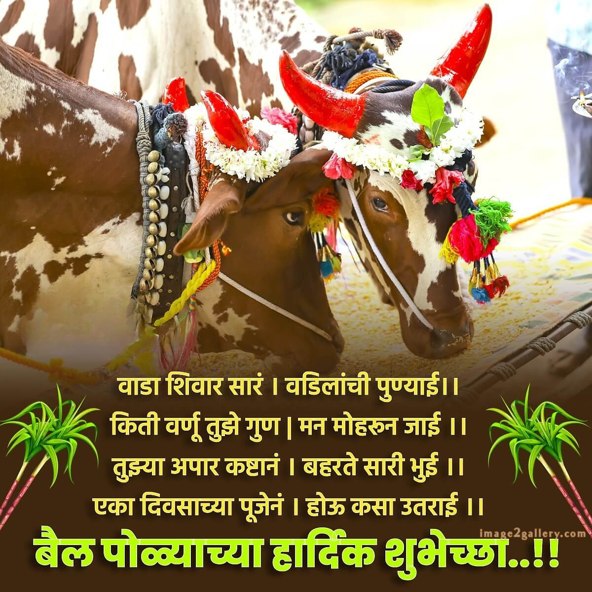 100+ Bail Pola Wishes In Marathi | बैल पोळा शुभेच्छा संदेश मराठीत | 61 बैल पोळा शुभेच्छा मराठी -(10)