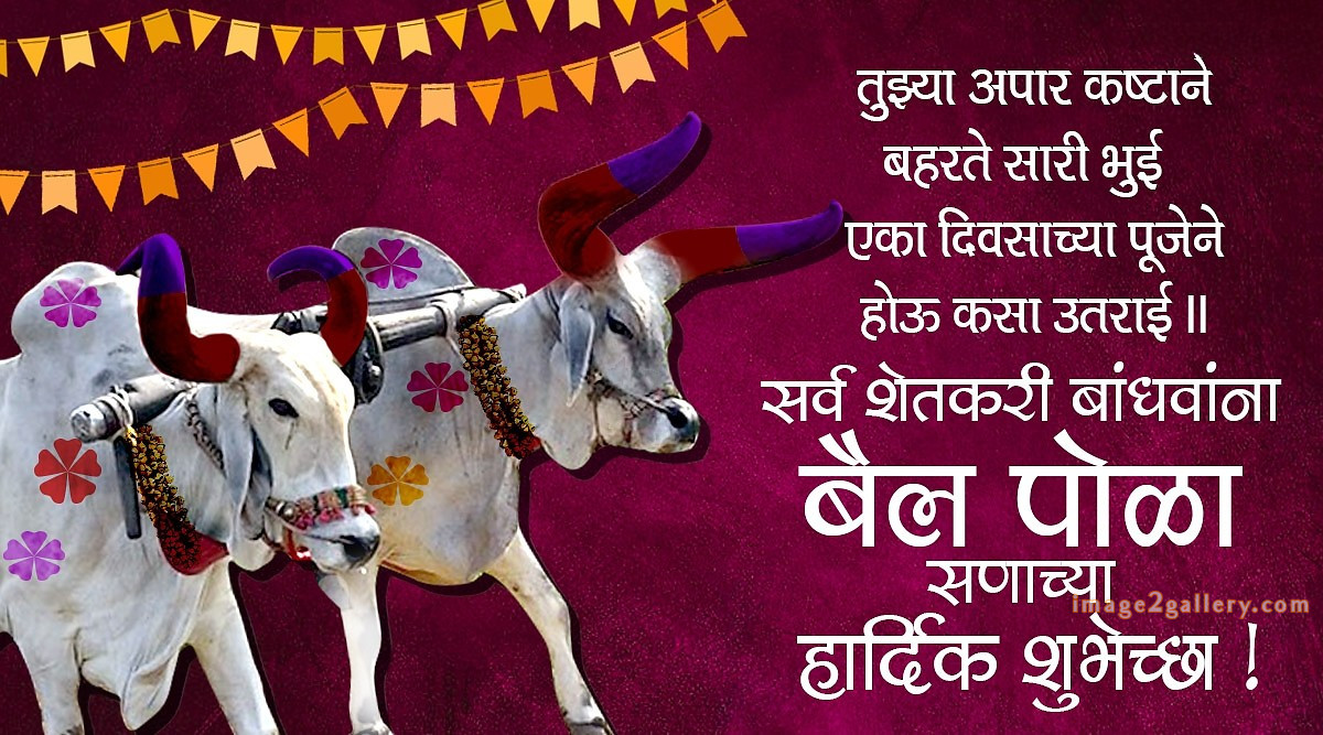 100+ Bail Pola Wishes In Marathi | बैल पोळा शुभेच्छा संदेश मराठीत | 59 बैल पोळा शुभेच्छा मराठी -(11)