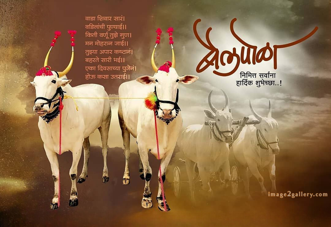 100+ Bail Pola Wishes In Marathi | बैल पोळा शुभेच्छा संदेश मराठीत | 54 बैल पोळा शुभेच्छा मराठी -(2)
