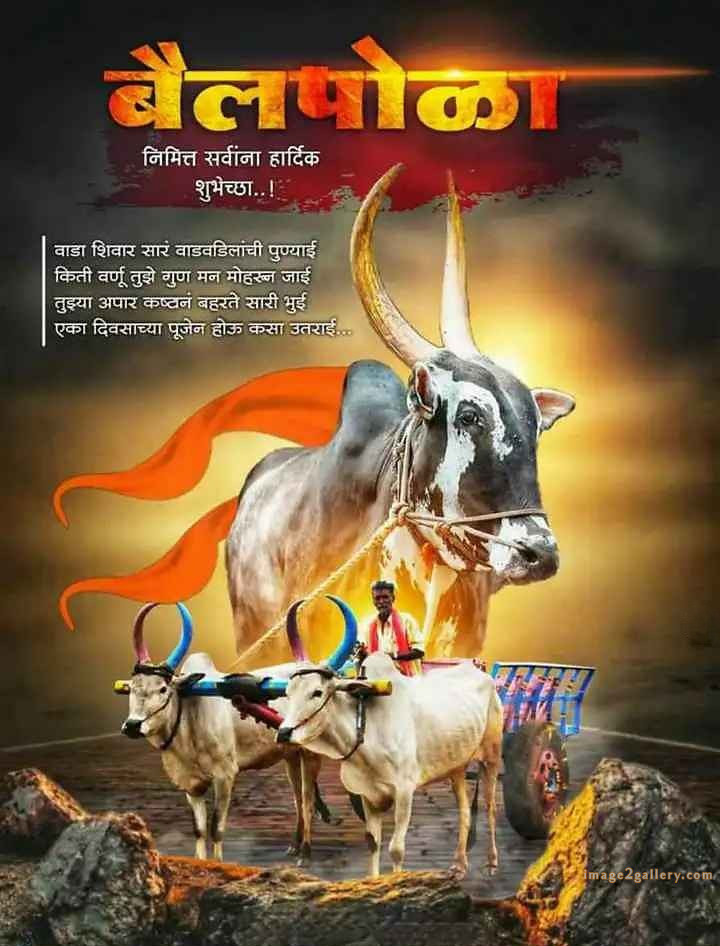 100+ Bail Pola Wishes In Marathi | बैल पोळा शुभेच्छा संदेश मराठीत | 3 बैल पोळा शुभेच्छा मराठी -(7)
