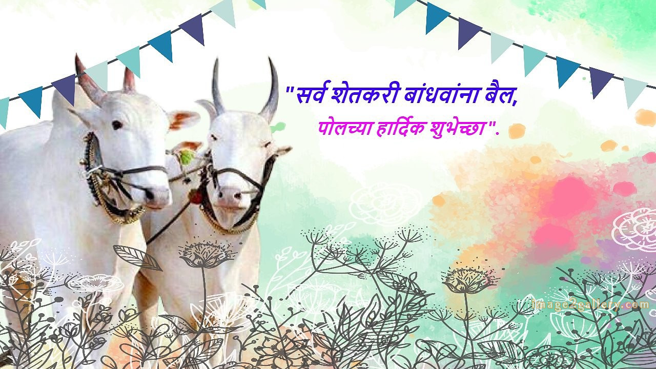 100+ Bail Pola Wishes In Marathi | बैल पोळा शुभेच्छा संदेश मराठीत | 65 बैल पोळा शुभेच्छा मराठी -(9)