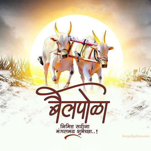 100+ Bail Pola Wishes In Marathi | बैल पोळा शुभेच्छा संदेश मराठीत | 27 बैल पोळा शुभेच्छा संदेश -