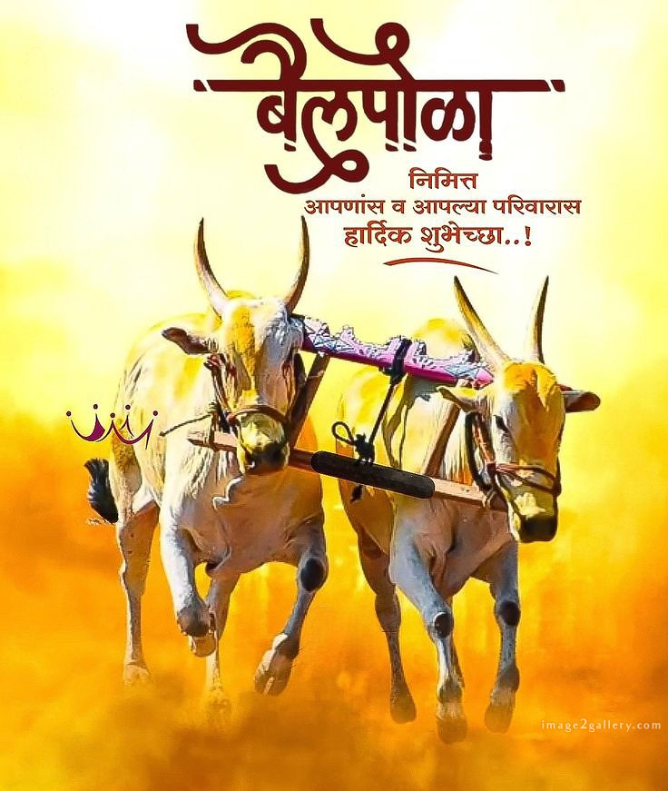 100+ Bail Pola Wishes In Marathi | बैल पोळा शुभेच्छा संदेश मराठीत | 74 बैल पोळा शुभेच्छा संदेश -(10)