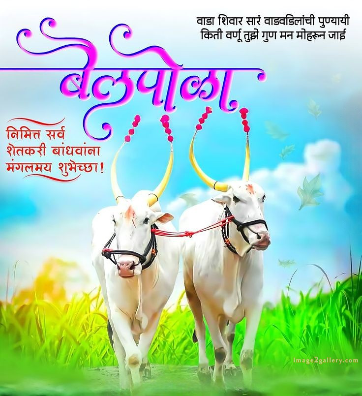 100+ Bail Pola Wishes In Marathi | बैल पोळा शुभेच्छा संदेश मराठीत | 16 बैल पोळा शुभेच्छा संदेश -(13)