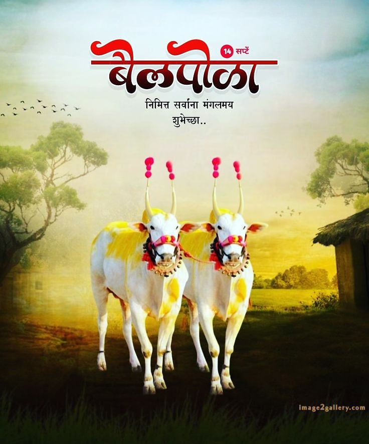100+ Bail Pola Wishes In Marathi | बैल पोळा शुभेच्छा संदेश मराठीत | 28 बैल पोळा शुभेच्छा संदेश -(6)