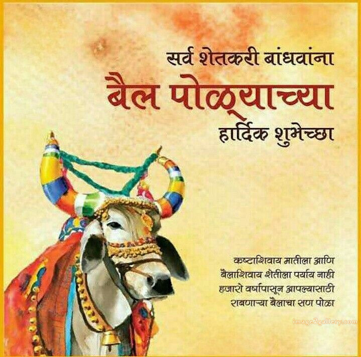 100+ Bail Pola Wishes In Marathi | बैल पोळा शुभेच्छा संदेश मराठीत | 79 बैल पोळा शुभेच्छा संदेश -(7)