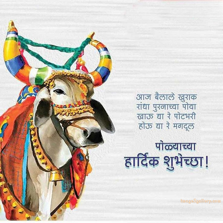 100+ Bail Pola Wishes In Marathi | बैल पोळा शुभेच्छा संदेश मराठीत | 78 बैल पोळा शुभेच्छा संदेश -(8)