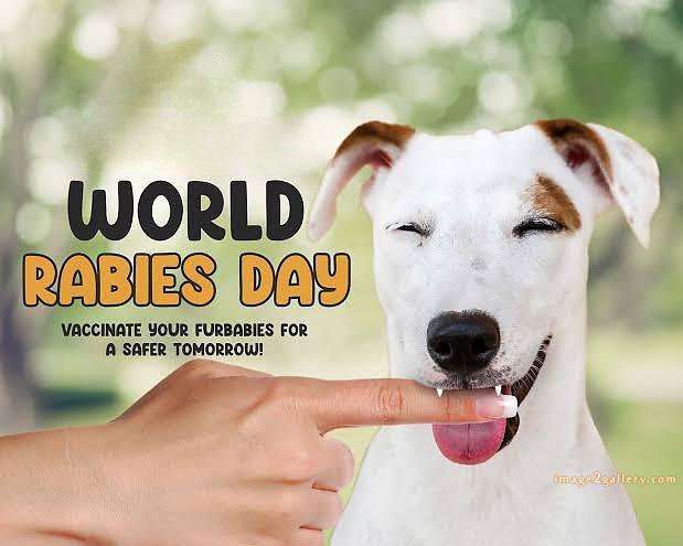 World Rabies Day | World Rabies Day in Hindi 67 rabies day -(3)