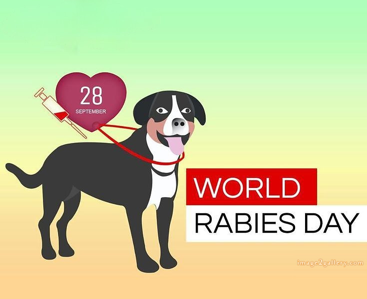 World Rabies Day | World Rabies Day in Hindi 68 rabies day -(5)