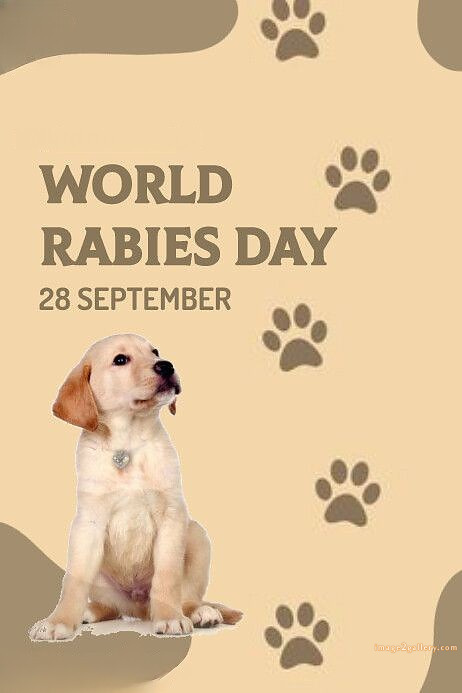 World Rabies Day | World Rabies Day in Hindi 62 rabies day -(7)