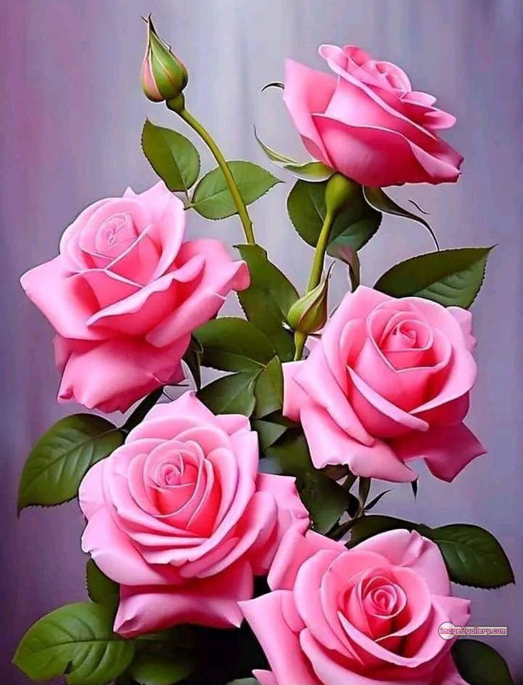 3300+ Beautiful Rose Flowers Image | Rose Flower HD Pic Download | 1230 rose pink bouquet -(16)