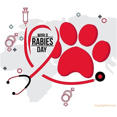 World Rabies Day | World Rabies Day in Hindi 9 world rabies -