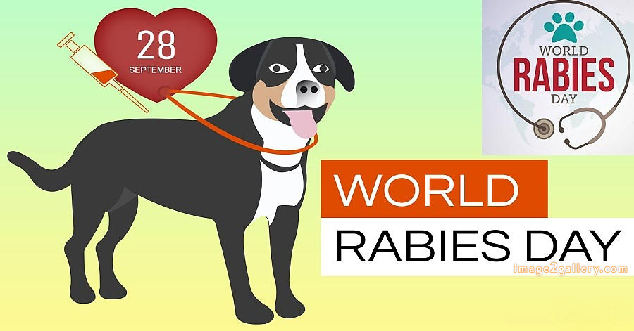 World Rabies Day | World Rabies Day in Hindi 71 world rabies day -(10)