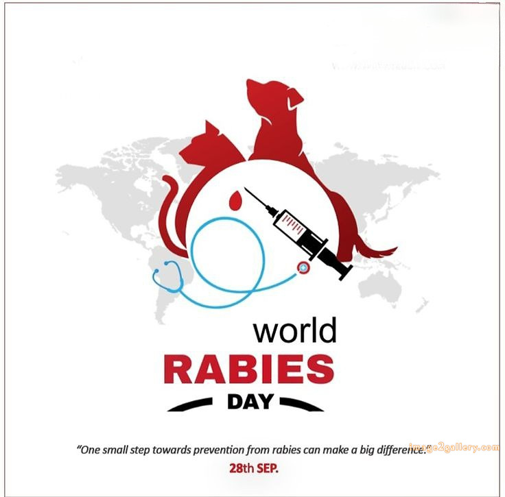 World Rabies Day | World Rabies Day in Hindi 69 world rabies day -(12)