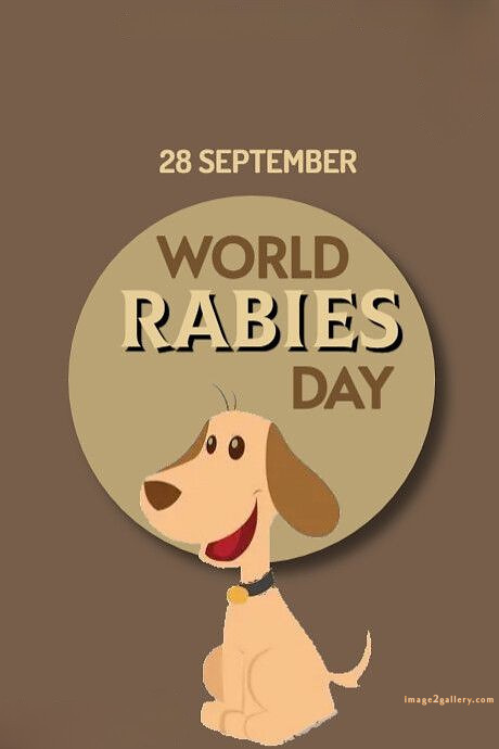 World Rabies Day | World Rabies Day in Hindi 124 world rabies day 2024(10)