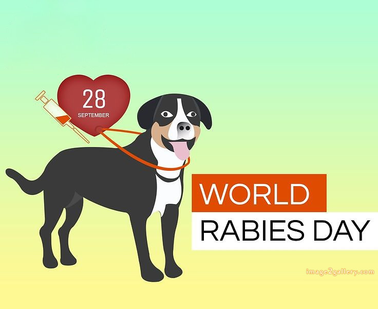 World Rabies Day | World Rabies Day in Hindi 29 world rabies day 2024(13)