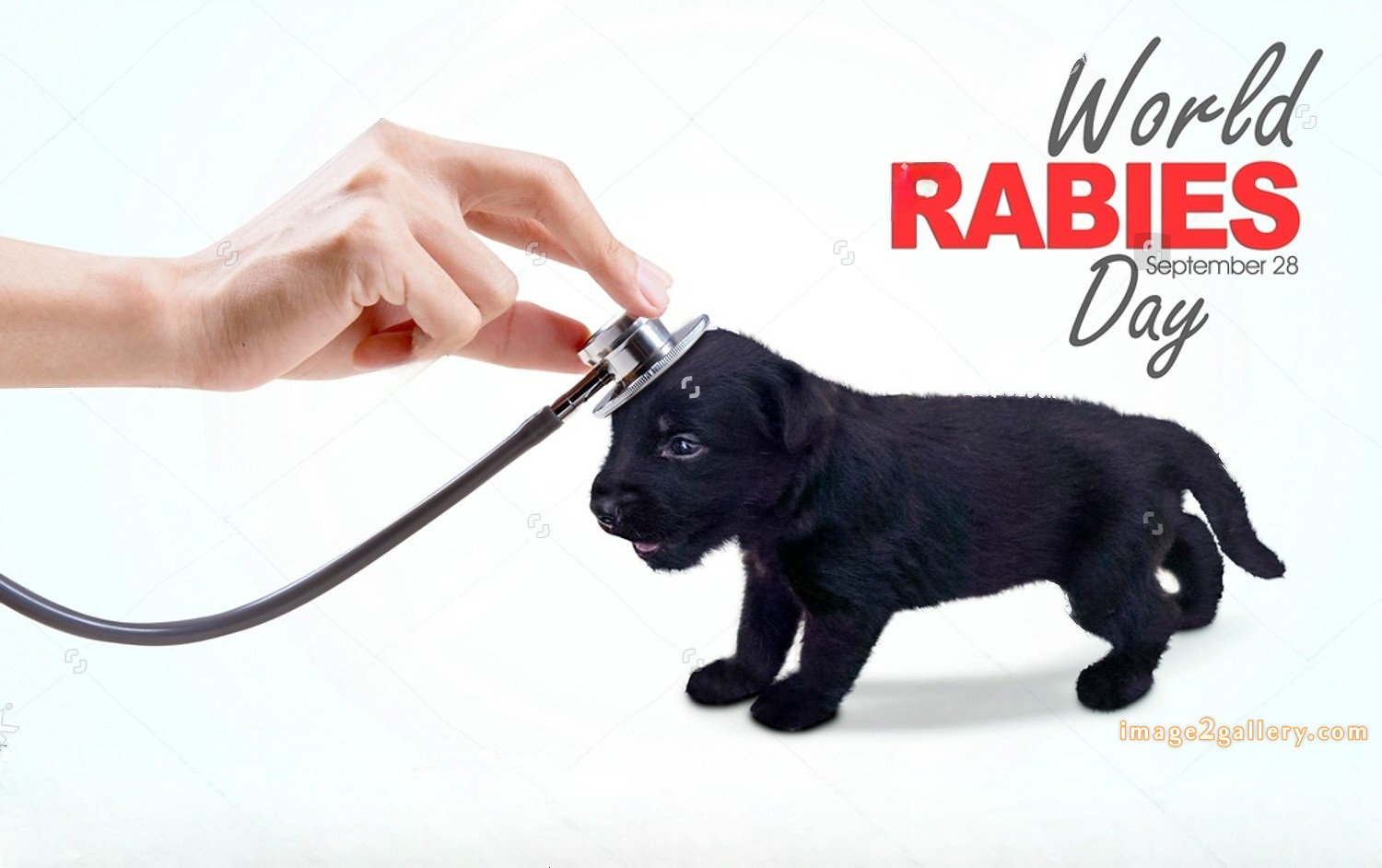 World Rabies Day | World Rabies Day in Hindi 152 world rabies day 2024(16)
