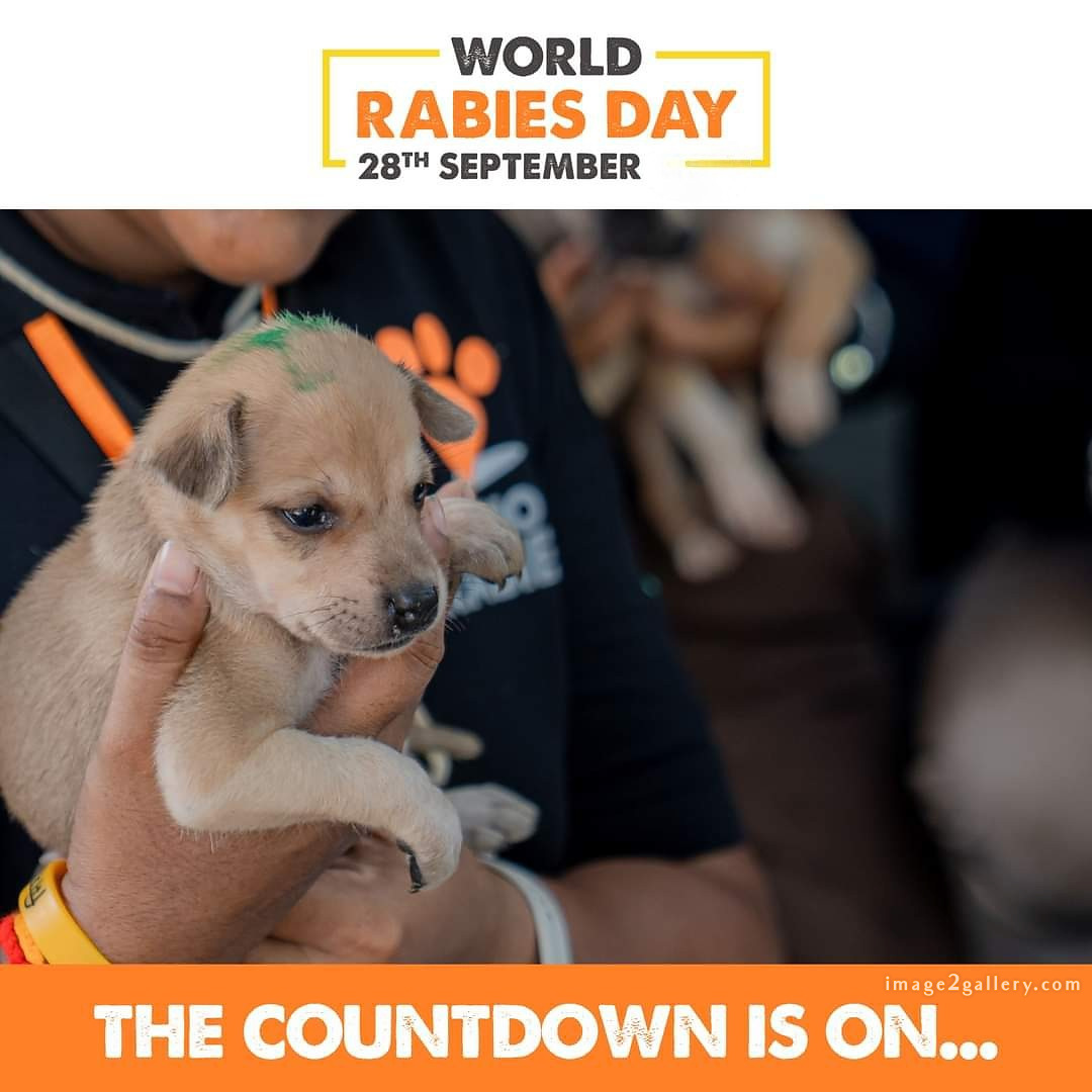 World Rabies Day | World Rabies Day in Hindi 120 world rabies day 2024(5)