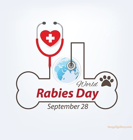 World Rabies Day | World Rabies Day in Hindi 98 world rabies day images -