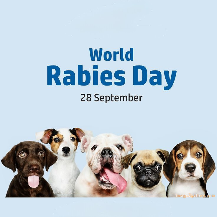World Rabies Day | World Rabies Day in Hindi 37 world rabies day images -(11)