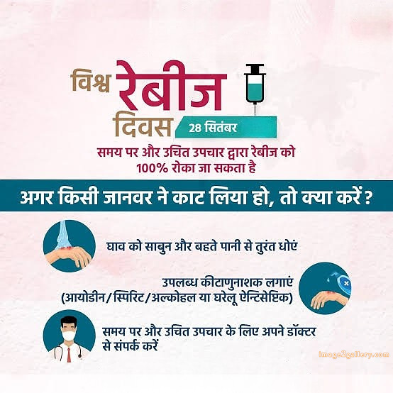 World Rabies Day | World Rabies Day in Hindi 94 world rabies day in hindi -(11)