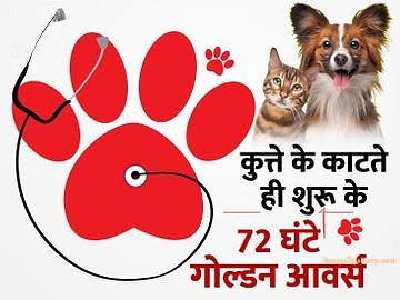 World Rabies Day | World Rabies Day in Hindi 41 world rabies day in hindi -(13)