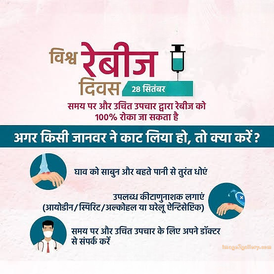 World Rabies Day | World Rabies Day in Hindi 96 world rabies day in hindi -(8)