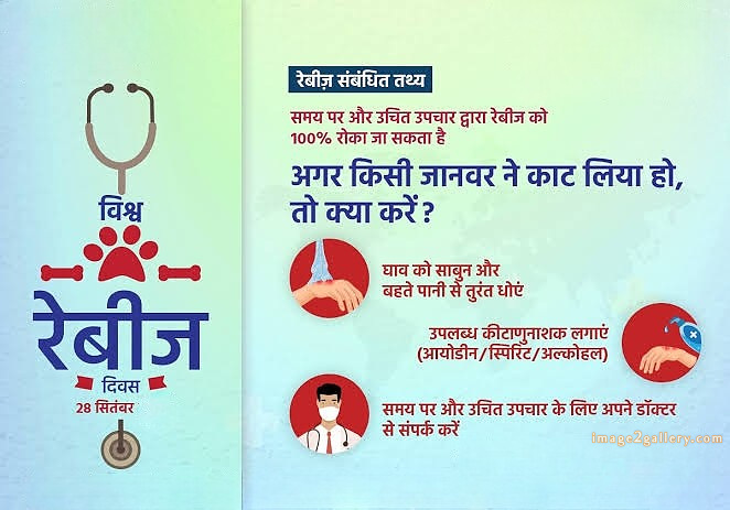 World Rabies Day | World Rabies Day in Hindi 21 world rabies day in hindi -(9)