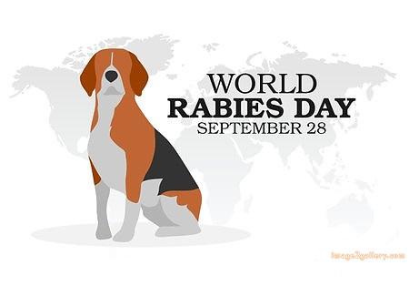 World Rabies Day | World Rabies Day in Hindi 88 world rabies day poster -