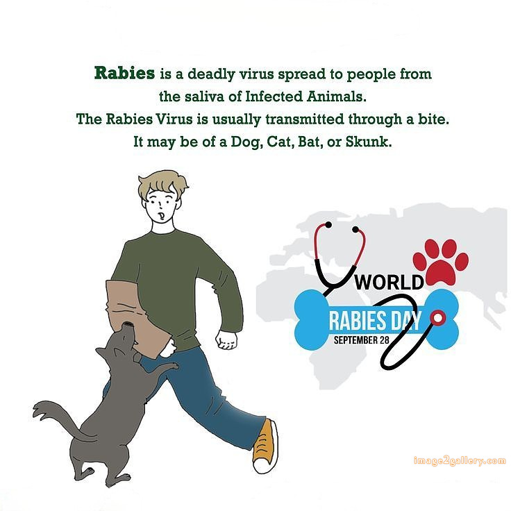 World Rabies Day | World Rabies Day in Hindi 46 world rabies day poster -(13)