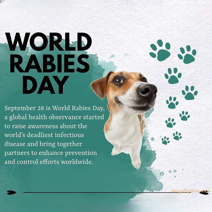 World Rabies Day | World Rabies Day in Hindi 44 world rabies day poster -(15)