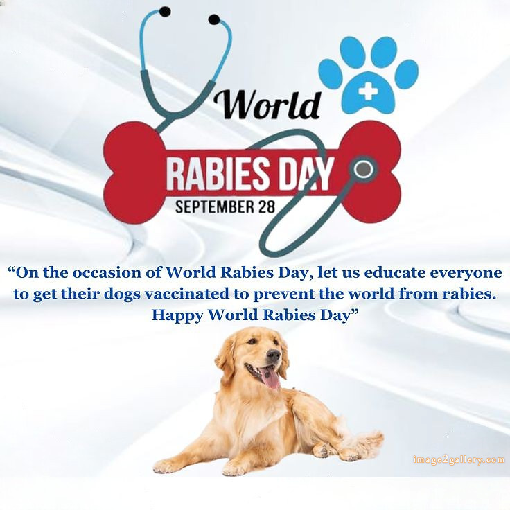 World Rabies Day | World Rabies Day in Hindi 91 world rabies day poster -(17)