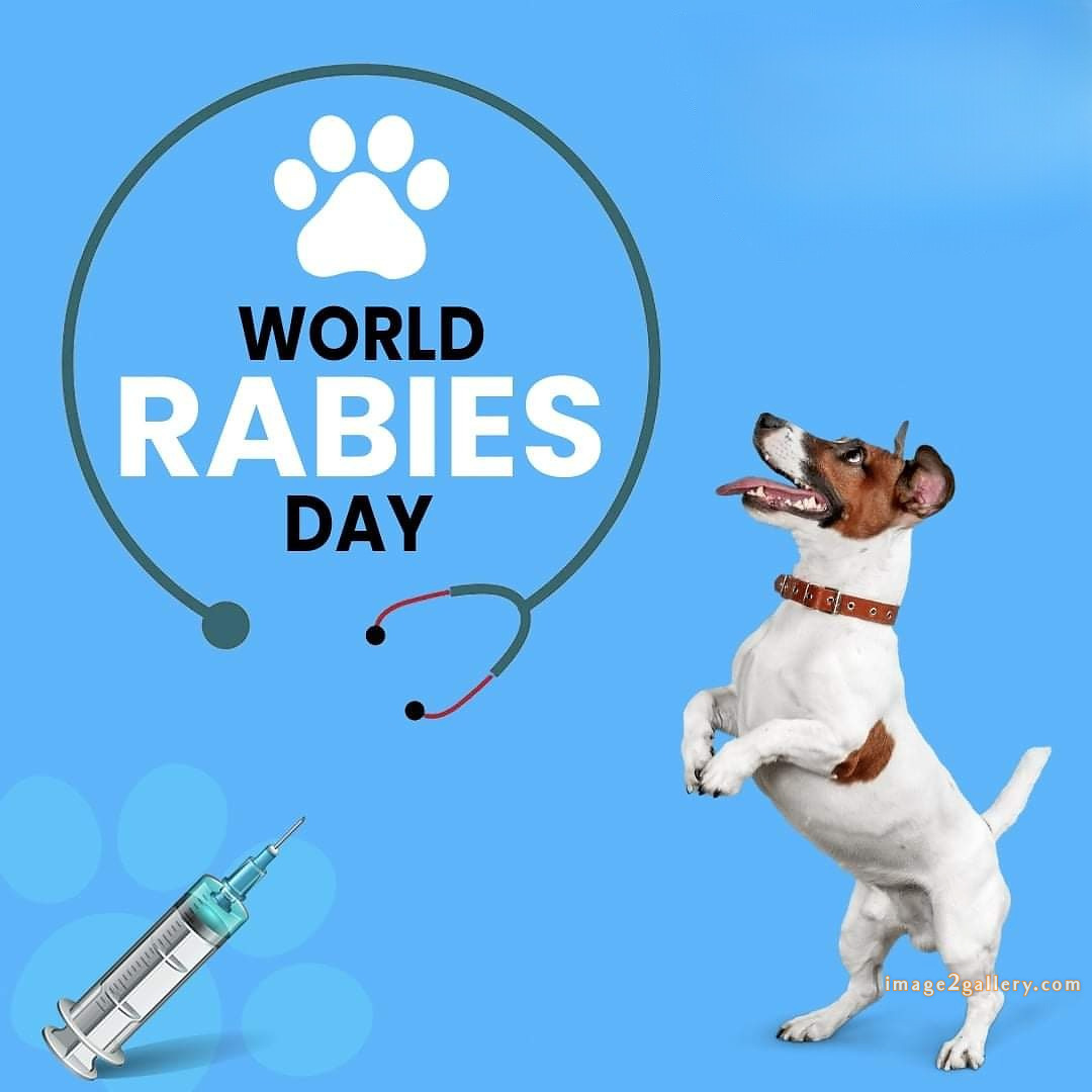 World Rabies Day | World Rabies Day in Hindi 50 world rabies day poster -(5)