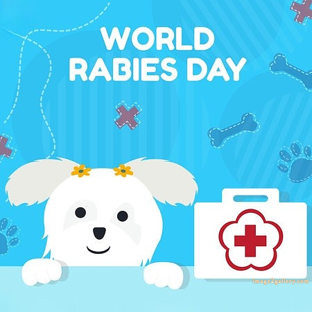 World Rabies Day | World Rabies Day in Hindi 49 world rabies day poster -(6)