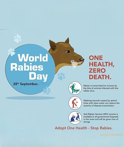World Rabies Day | World Rabies Day in Hindi 47 world rabies day poster -(8)