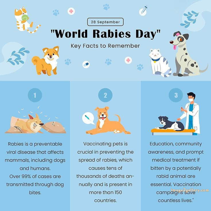 World Rabies Day | World Rabies Day in Hindi 106 world rabies day quotes -