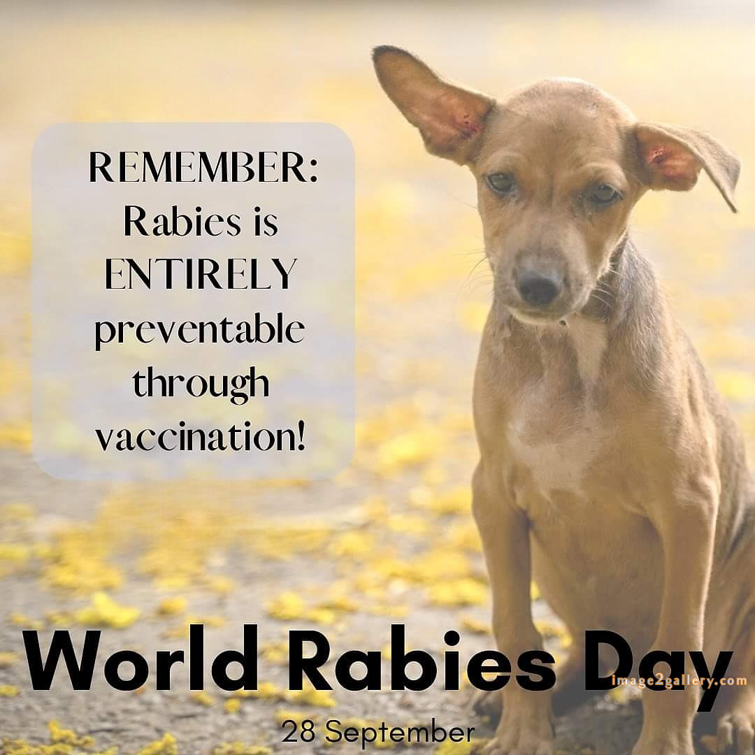 World Rabies Day | World Rabies Day in Hindi 26 world rabies day quotes -(1)