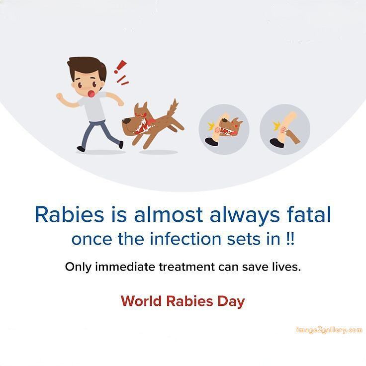World Rabies Day | World Rabies Day in Hindi 145 world rabies day quotes -(10)