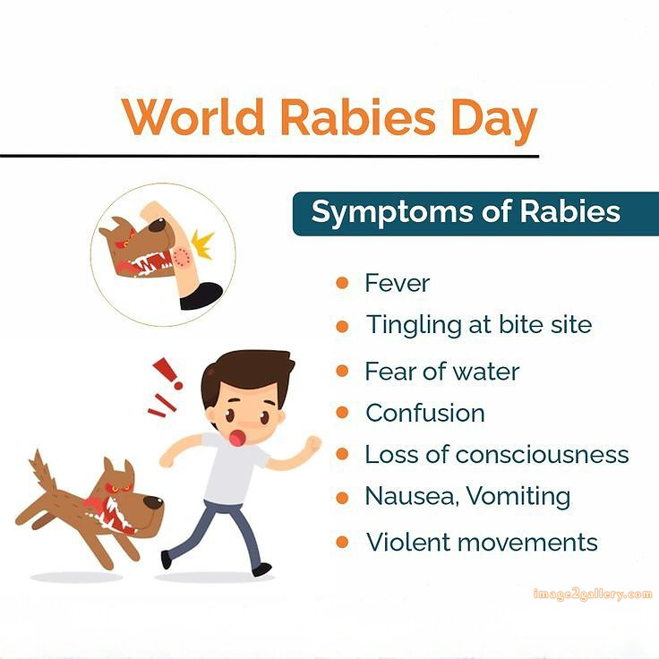 World Rabies Day | World Rabies Day in Hindi 144 world rabies day quotes -(11)