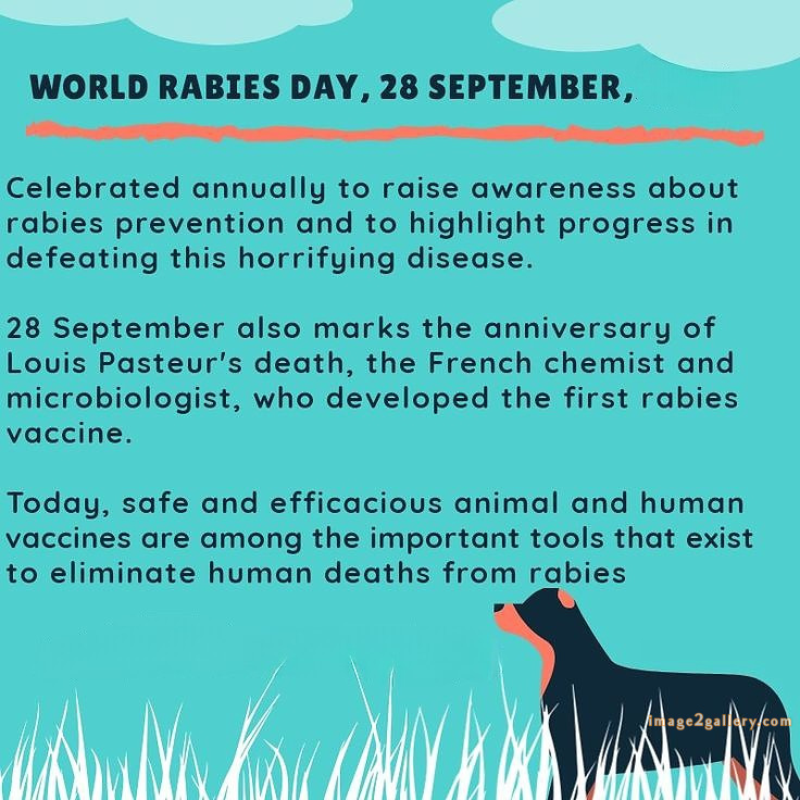World Rabies Day | World Rabies Day in Hindi 105 world rabies day quotes -(13)