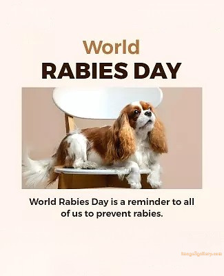 World Rabies Day | World Rabies Day in Hindi 103 world rabies day quotes -(4)