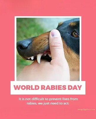 World Rabies Day | World Rabies Day in Hindi 142 world rabies day quotes -(5)