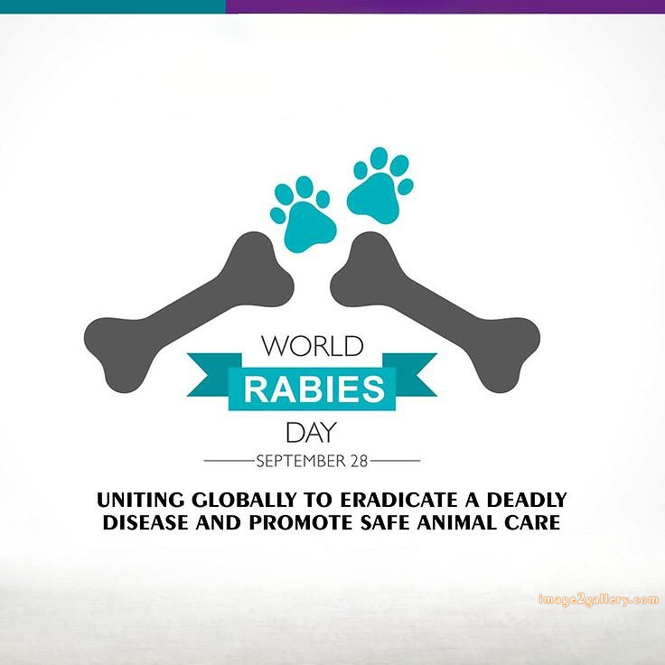 World Rabies Day | World Rabies Day in Hindi 109 world rabies day quotes -(9)