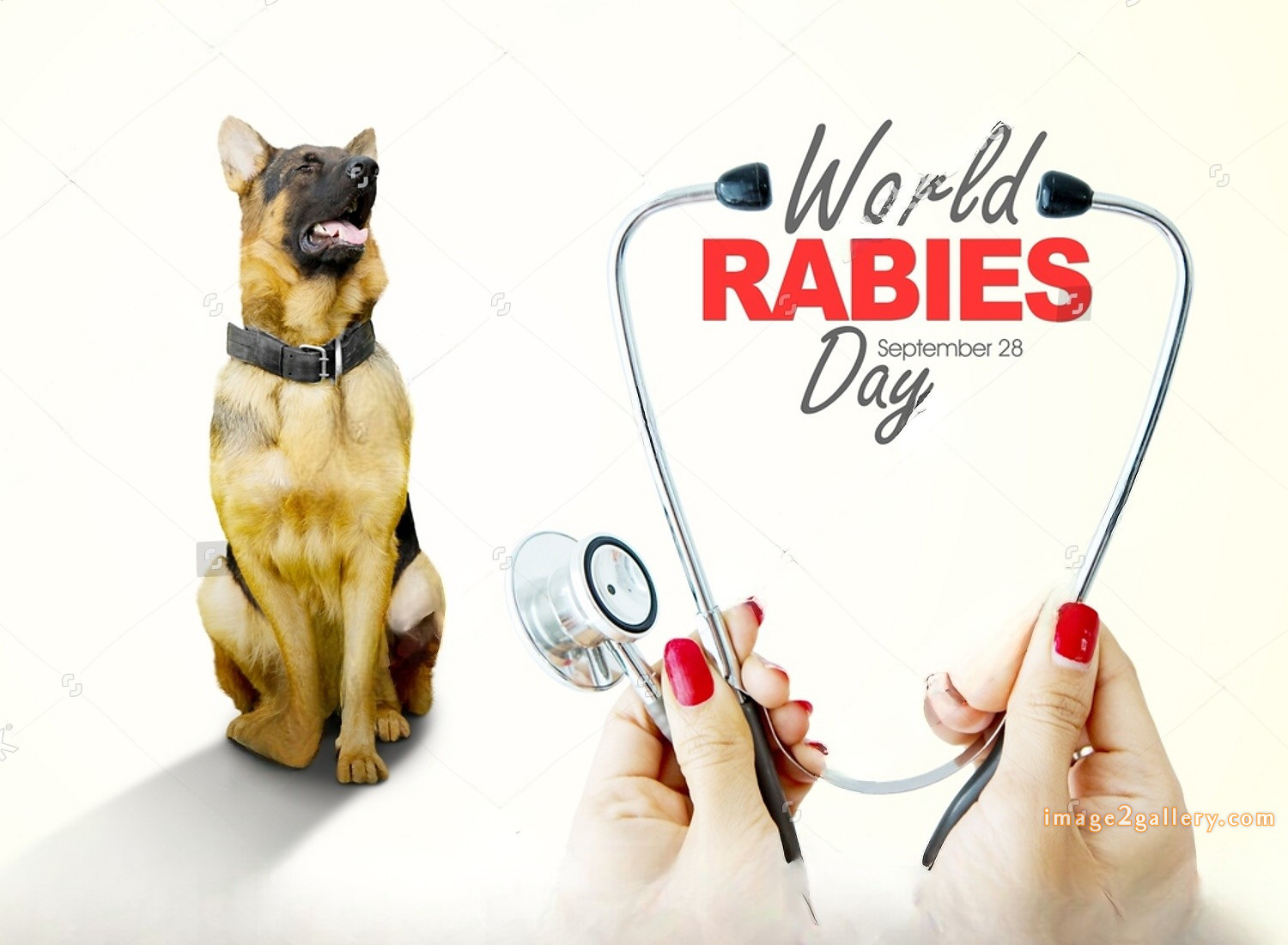 World Rabies Day | World Rabies Day in Hindi 27 world rabies day wishes -(13)